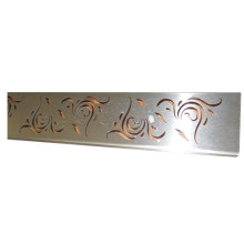 Stainless Steel Drain Cover